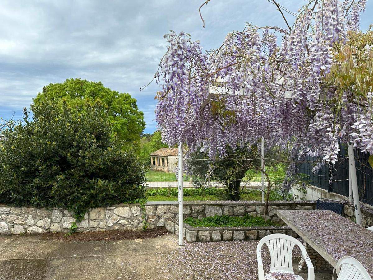 Vala Apartments Rovinj Ngoại thất bức ảnh