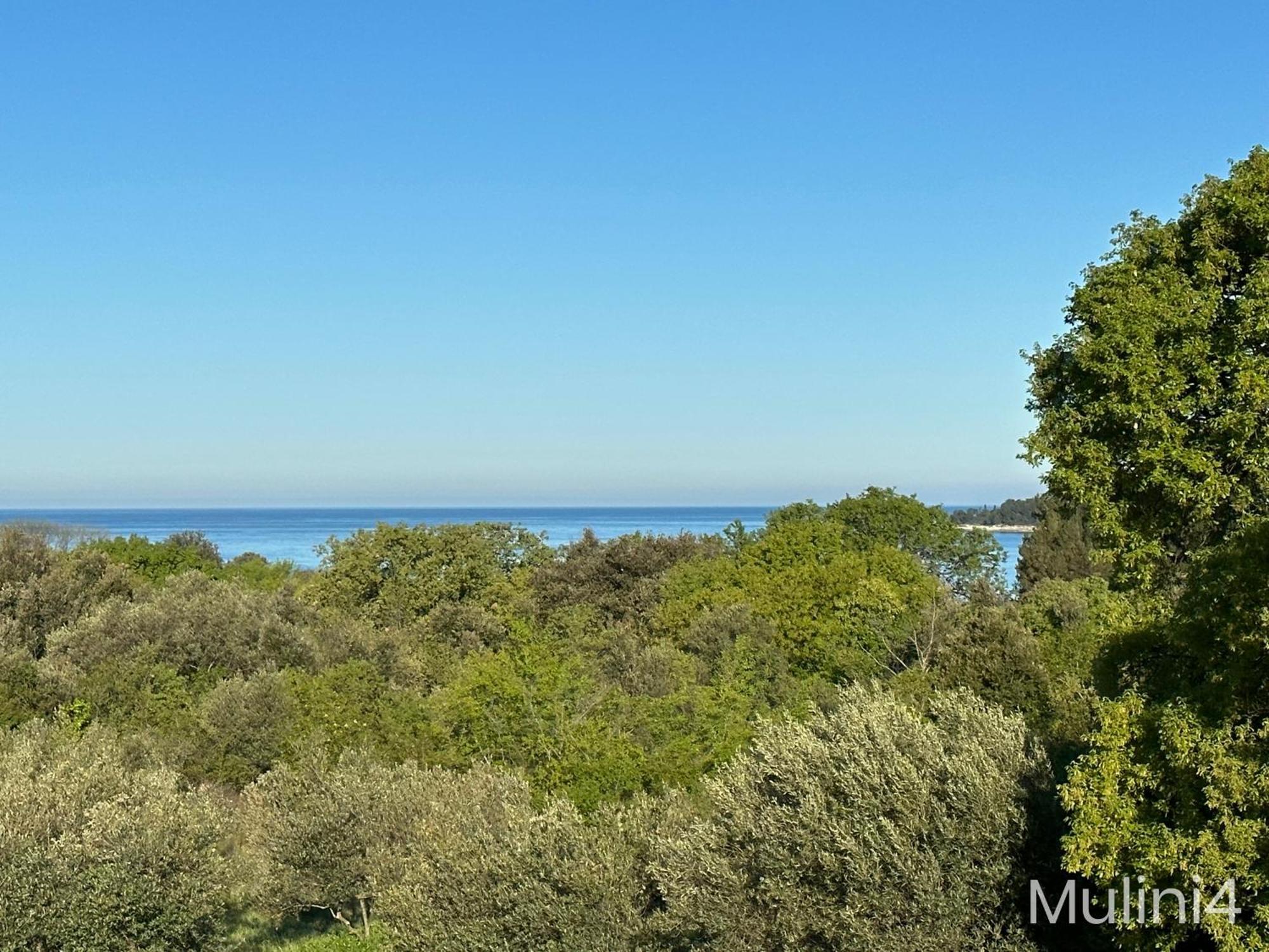 Vala Apartments Rovinj Ngoại thất bức ảnh